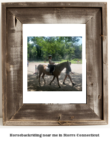 horseback riding near me in Storrs, Connecticut